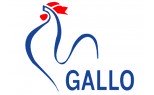 GALLO